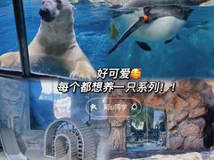 -珠海长隆海洋王国