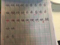 -缤纷鸟美术书法(交大校区)