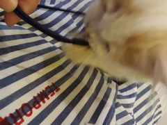 -平行世界·猫咖(首经贸店)