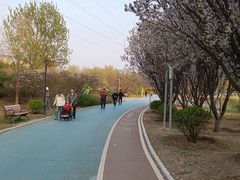 -太阳宫公园