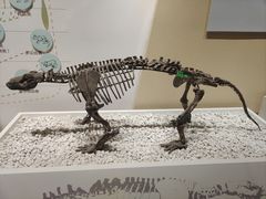 -国家自然博物馆