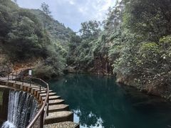 -大奇山国家森林公园
