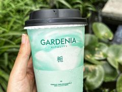 -爷爷不泡茶NOYEYENOTEA(烟台烟大保利店)