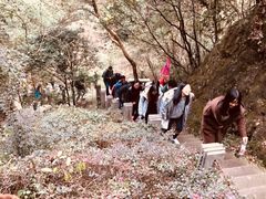 -宁波五龙潭景区