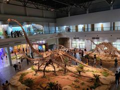 -自贡恐龙博物馆