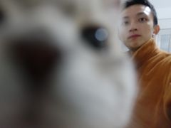 -博特宠物医院24h犬猫全科.骨科·异宠