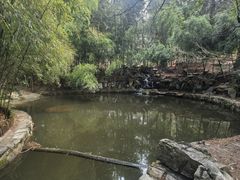 -庐山风景区花径公园