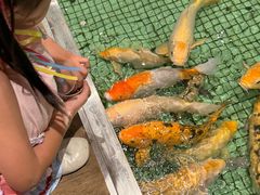 -金河半岛园林酒家(金融城店)