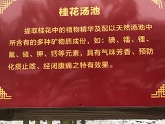 -江南天池高山汤泉城