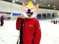 -绍兴启迪乔波冰雪世界