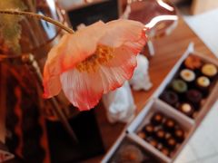 -发酵食堂(屏风街店)
