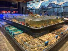 -青蓬蒸汽海鲜·深圳老字号·团建聚会(壹方城店)