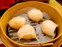 添好运点心专门店(深水埗店)-添好运点心专门店(深水埗店)