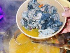 -Darling Queen·Mini·Live·House