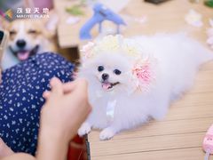 -茂业天地(华强北店)