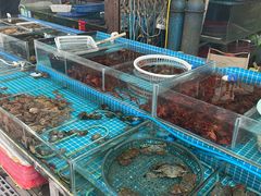 -盛华世家商业广场农贸水产综合批发市场