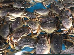 -马王堆海鲜水产市场