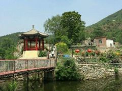-双新垂钓园