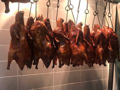 -守柴炉烤鸭(科华中路王府井店)