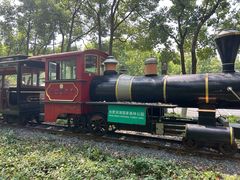 -合肥滨湖国家森林公园