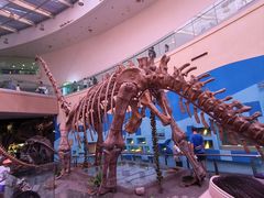 -陕西自然博物馆