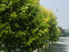 -东方时尚驾校摩托车考试场