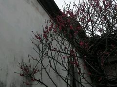 -福建民俗博物馆