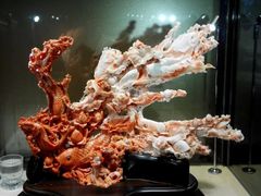 -绮丽珊瑚(台北101旗舰门市店)