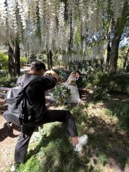 点击看大图 -帆拉斐婚纱摄影(春熙店)