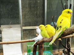 -竹泉村旅游度假区