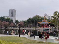 -金砂公园