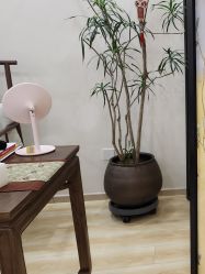 -巧兮美学半永久纹绣·纹眉·纹唇