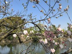 -无锡蠡湖国家湿地公园-蠡园