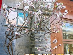 -雍和宫