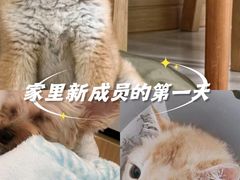 -美联众合动物医院·24h京西诊疗中心