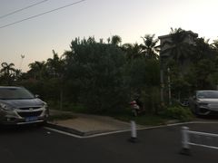 -金鸡岭桥头公园