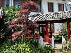 -香麒园·过桥米线·南湖雅宴