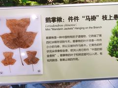 -贵阳市花溪国家城市湿地公园