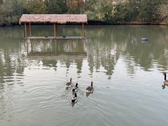 -溱湖国家湿地公园