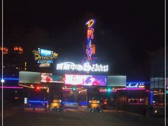 -枫花园汽车电影院(朝阳公园店)