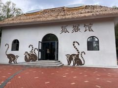 -沈阳森林动物园