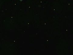 -青山公园萤火虫科普展