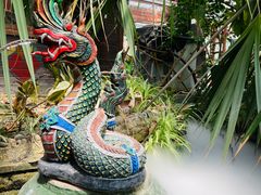 -呀路古热带植物园