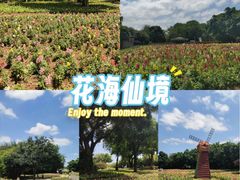 -桂林园博园