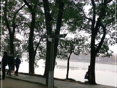 -东湖落雁景区
