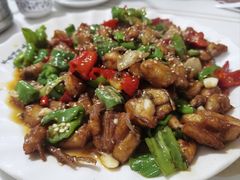 -煲来饱去冷水鱼