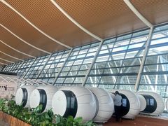 -上海浦东国际机场-T2航站楼