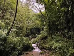 -凤栖山