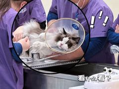 -萌兽医馆·犬猫专科·眼科中心·宠物医院(朝阳门分院)