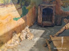 -大连森林动物园